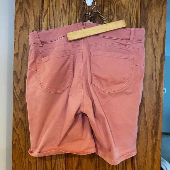 Democracy shorts - Picture 4 of 7